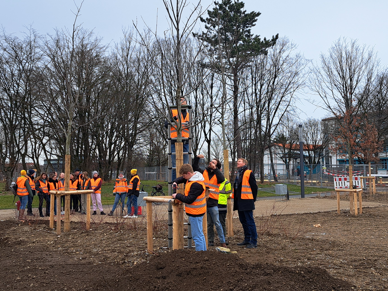 Schüler mit orangener Warnkleidung bringen an einen kahlen Baum Sensoren an.