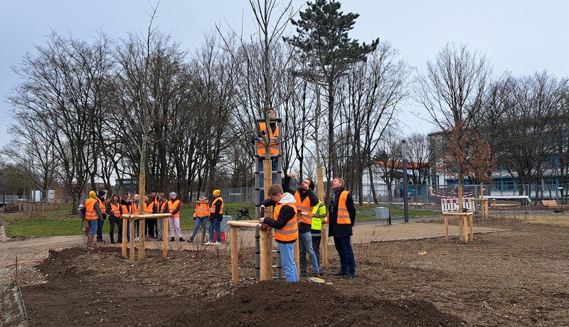 Schüler mit orangener Warnkleidung bringen an einen kahlen Baum Sensoren an.